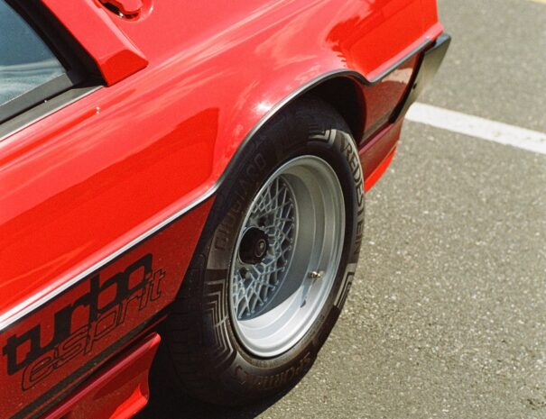 markus-spiske-uWfi2zMcTA8-unsplash