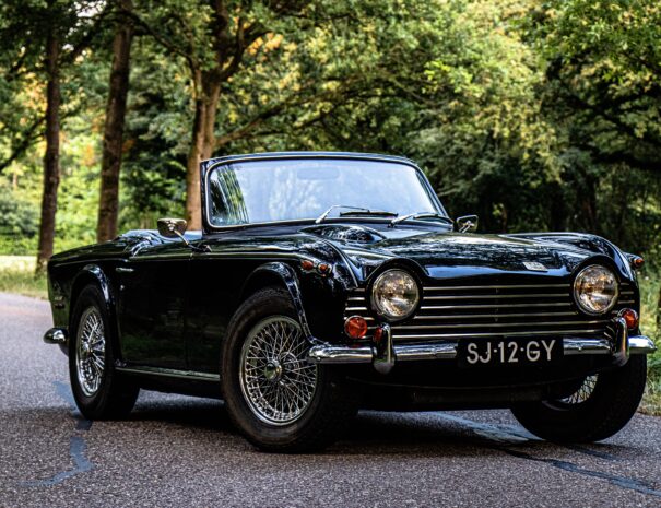 onno-blaauw-Wl6lHPQvg_8-unsplash