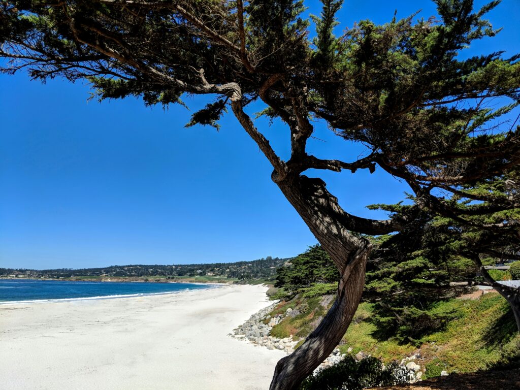 Carmel Beach