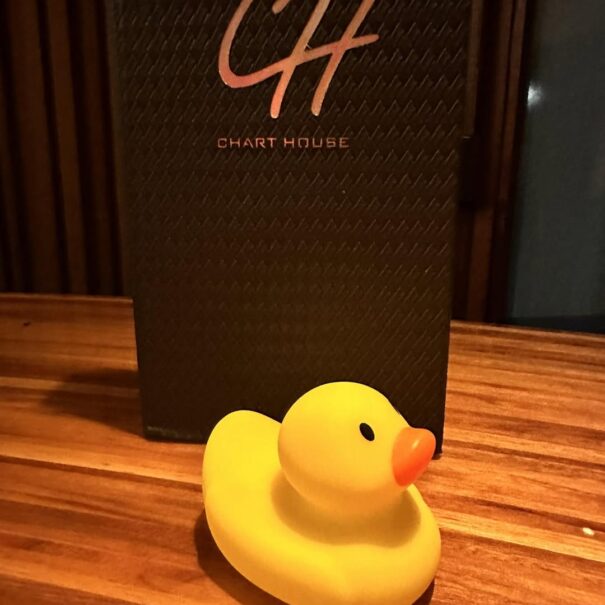 Celebrate National Rubber Ducky Day with De Anza Inn