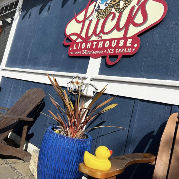 Celebrate National Rubber Ducky Day with De Anza Inn