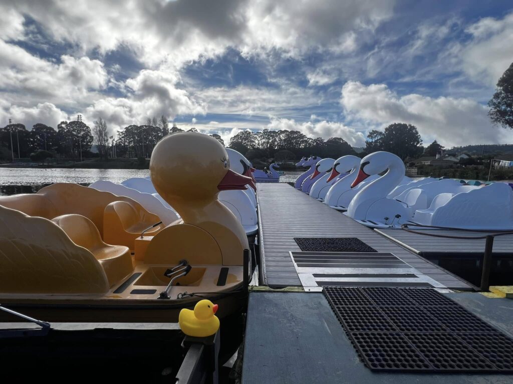 Celebrate National Rubber Ducky Day with De Anza Inn