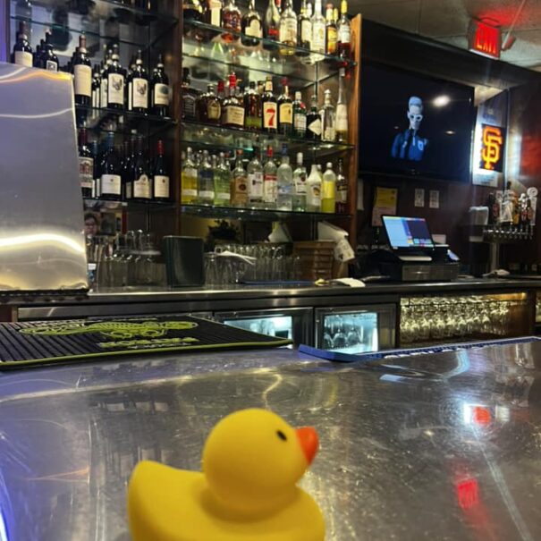 Celebrate National Rubber Ducky Day with De Anza Inn