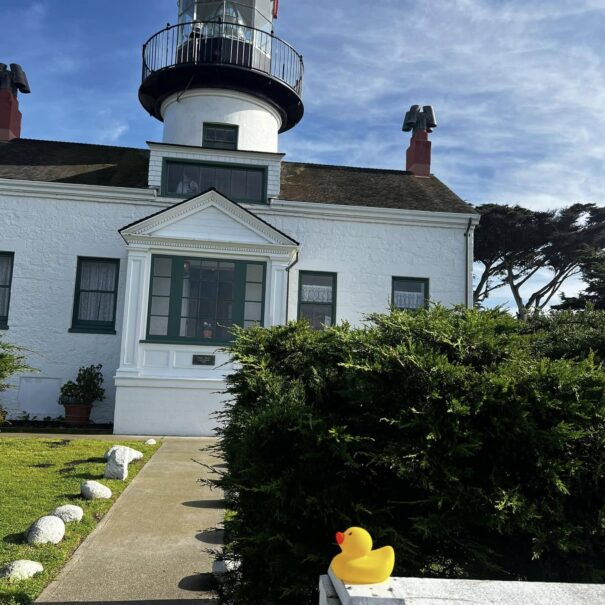 Celebrate National Rubber Ducky Day with De Anza Inn