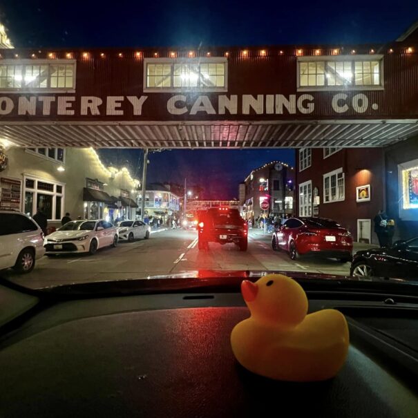 Celebrate National Rubber Ducky Day with De Anza Inn